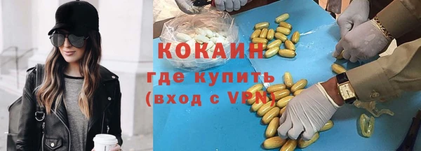 крисы Верея