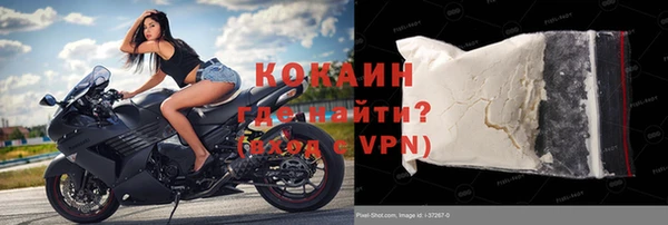крисы Верея